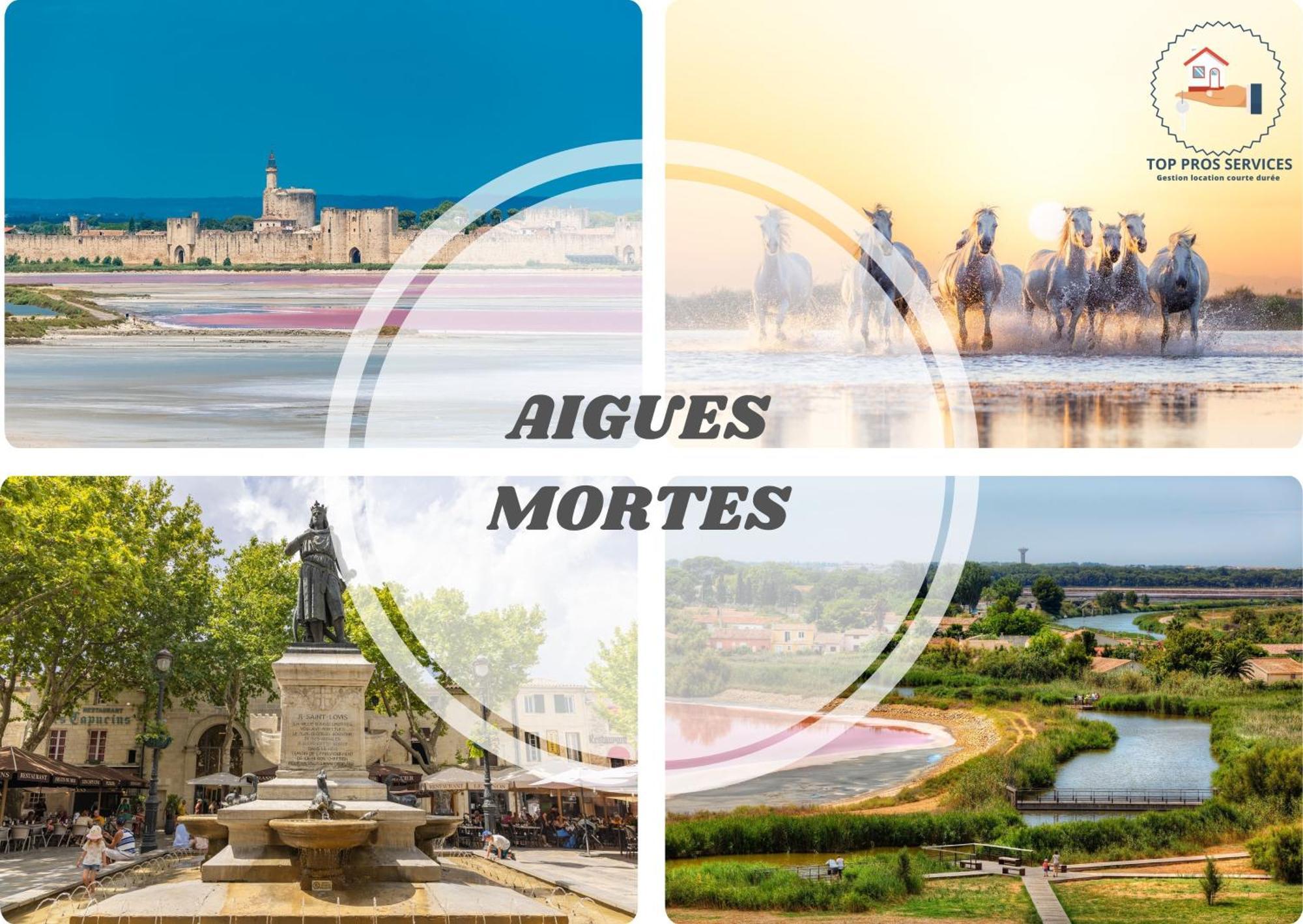 Les Marines Port 2 Min Plage Camargue- Top Pros Services Conciergerie La Grande Motte Mauguio Bagian luar foto